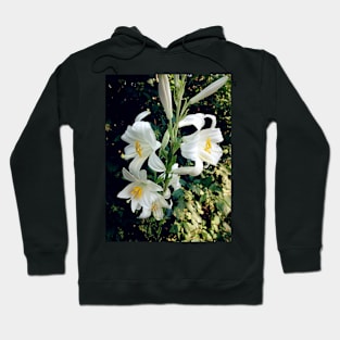 White Lily Hoodie